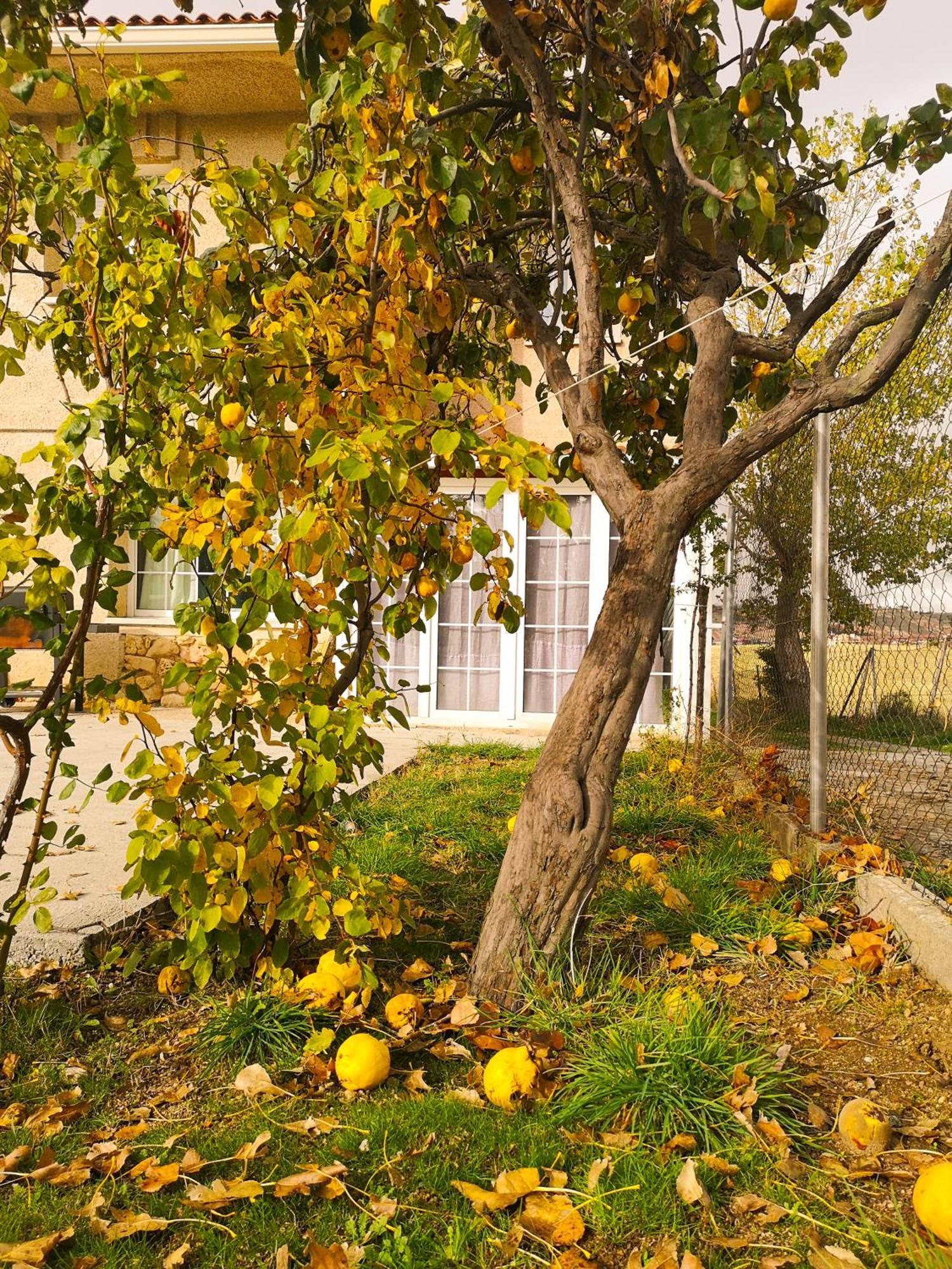 Agradable Casa Con Jardin: Casasola Βίλα San Cristóbal de Segovia Εξωτερικό φωτογραφία